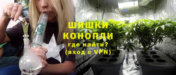 Альфа ПВП Белокуриха