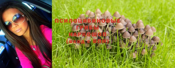 Альфа ПВП Белокуриха