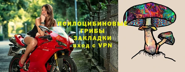 герыч Сосновка