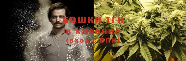 Альфа ПВП Белокуриха