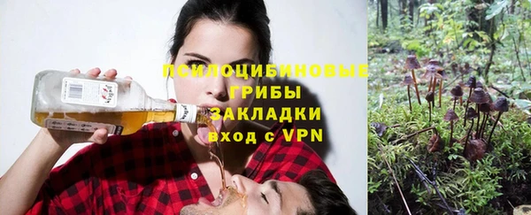 соль ск Беломорск